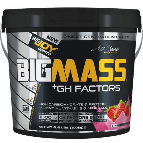 Bigjoy Sports BIGMASS Gainer GH FACTORS Çilek 3000g