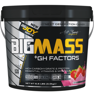 Bigjoy Sports BIGMASS Gainer GH FACTORS Çilek 3000g