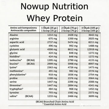 Nowup Nutrition %100 Whey Protein Tozu Çikolata Aromalı | 2160 Gr–60 Servis